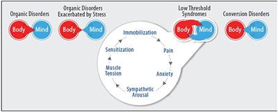 The Four-Cluster Spectrum of Mind-Body Interrelationships: An Integrative Model